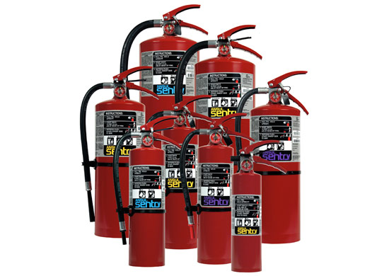 Ansul Sentry Dry Chemical Hand Portable Extinguishers | Fire Extinguishers | Kingswood Capital Markets